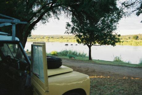 Hippos at Shona-Langa