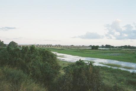 Bridge