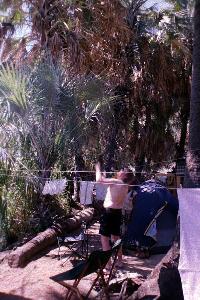 Nutty dutchman foraging