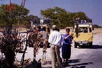 Leaving Etosha