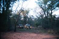 Bush camp