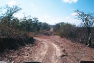 The road to Mazabuka